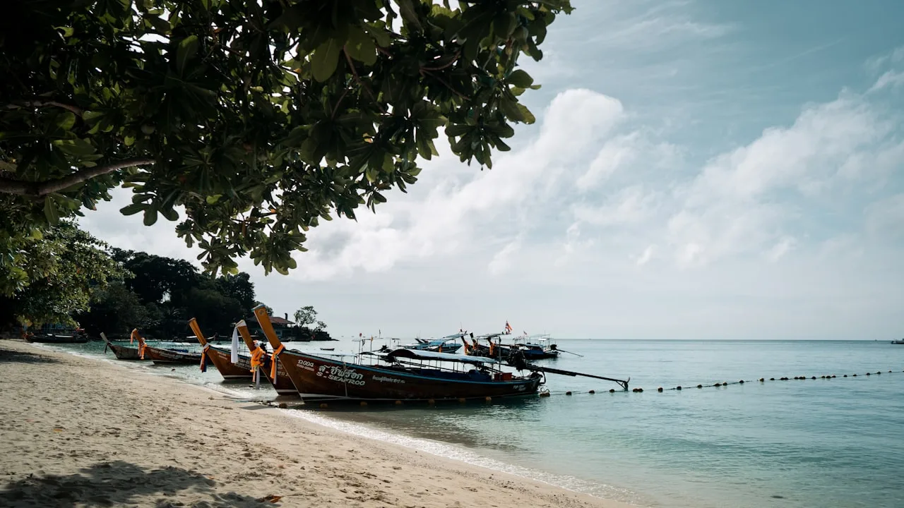 Rental Guarantees vs. Reality: Developer Programmes